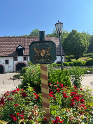 Neckarsteig, ab Mosbach
26. Juni 2023